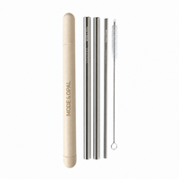 Stainless Steel Straw Set with Case and Cleaning Brush